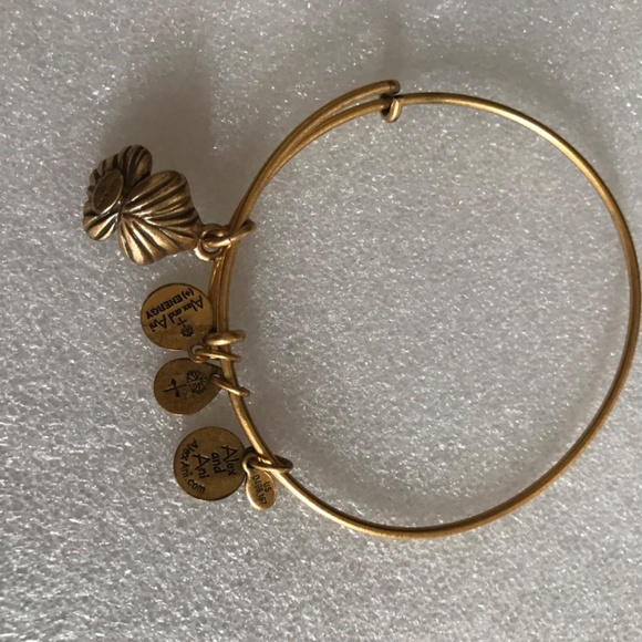 Alex and Ani Expandable Wire Bracelet - Picture 5 of 7